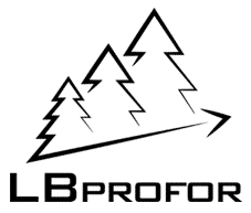 LBPROFOR - Blogue